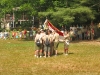 img_8492.jpg