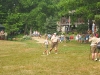img_8495.jpg